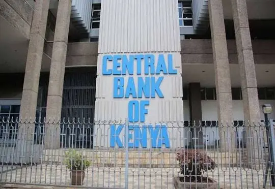 Central Bank of Kenya Licenses 19 New Digital Credit Providers
